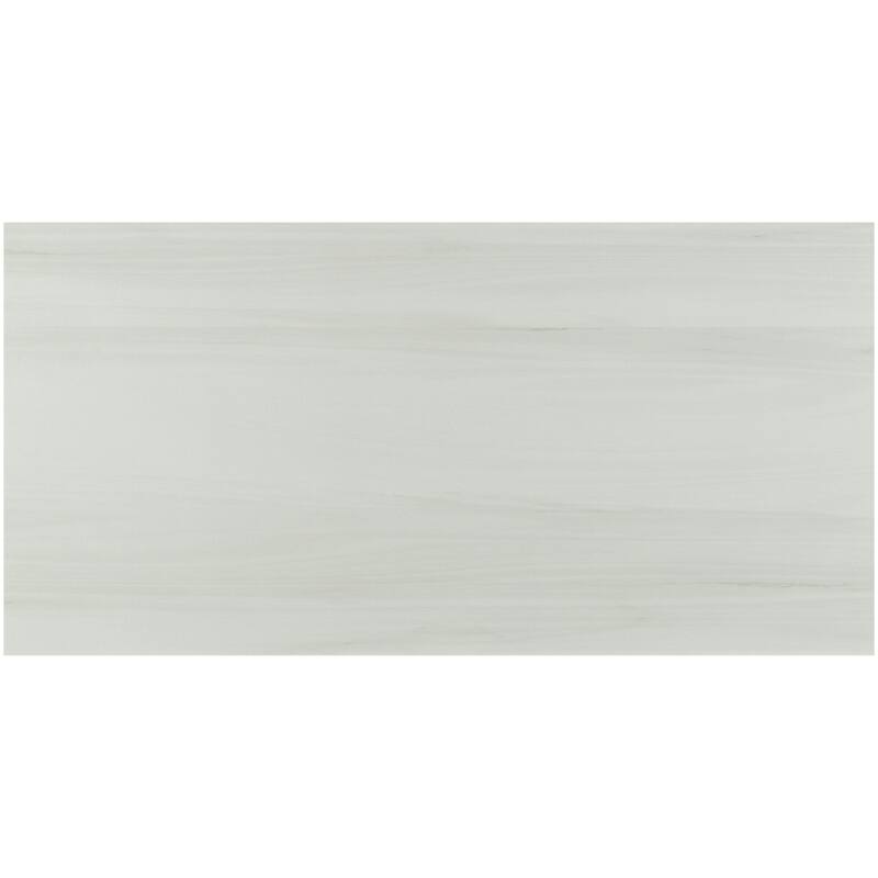 Ackland AKNPTARD12X24M-CA Ardena - 12" x 24" Porcelain Solid Floor and - Pallora