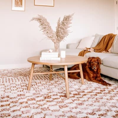 Mendieta Checkered Shag Area Rug