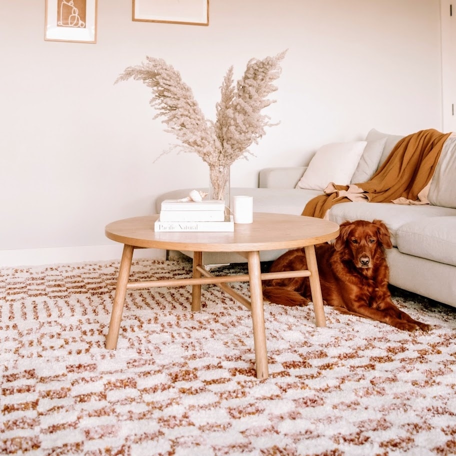 Mendieta Checkered Shag Area Rug