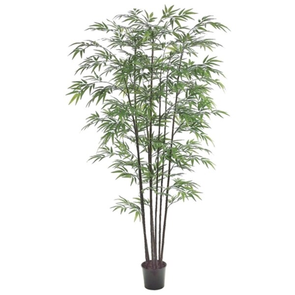 Set Of 2 Potted Artificial Black Bamboo Trees 7 Green Free Set Of 2 Potted Artificial Black Bamboo Trees 7 X27