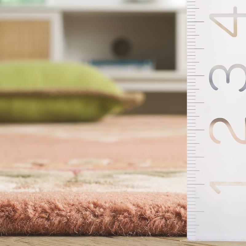 SAFAVIEH Handmade Aubusson Hale Traditional Wool Rug.