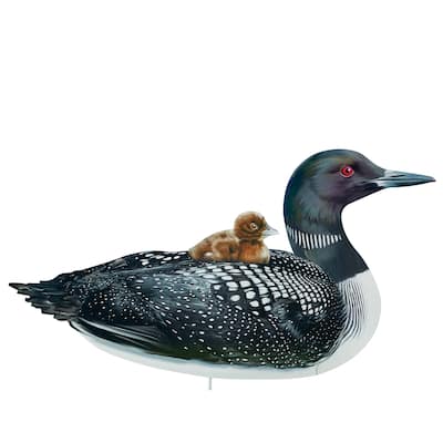 Realistic Common Loon with Baby Outdoor Garden Stake - 22.5 x 19 x 0.5