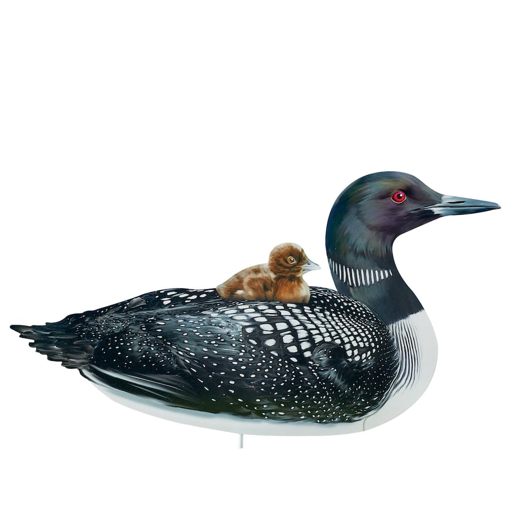 Realistic Common Loon with Baby Outdoor Garden Stake - 22.5 x 19 x 0.5