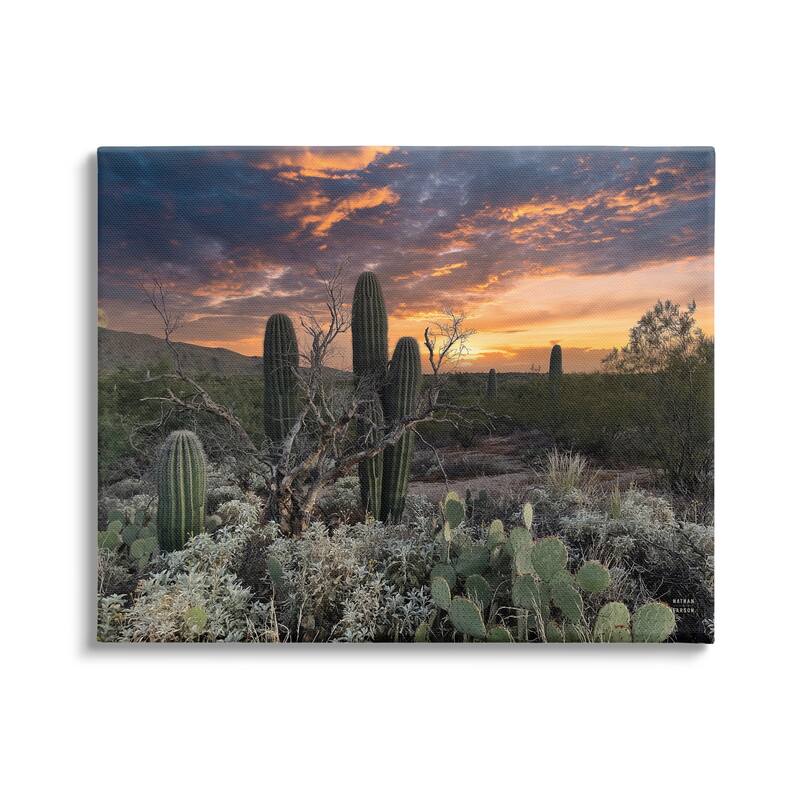Stupell Arid Desert Cactus Sunset Stretched Canvas Wall Art, Design by Nathan Larson - 20 x 16