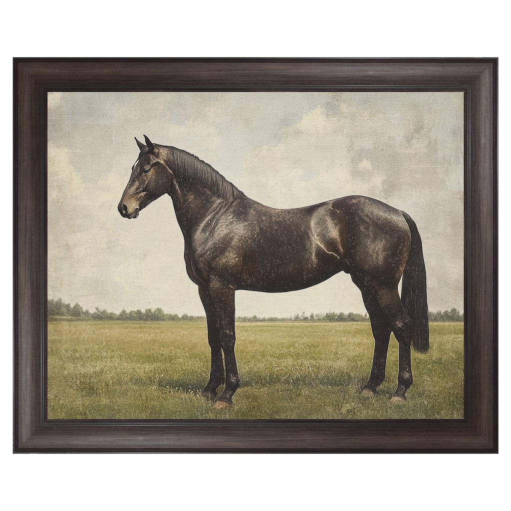 Masterpiece Art Gallery| Expresso Horse by Petals Prints Design - Framed Canvas Art Print
