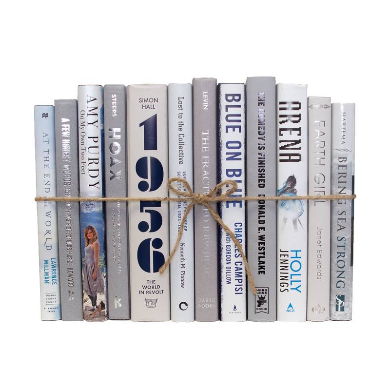 Books Blue Decorative Accessories: Blue Ice Mixed Media ColorPak