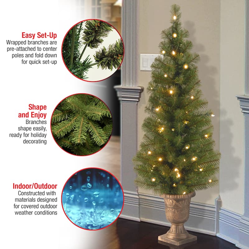 National Tree Company 4 ft. Montclair Spruce Entrance Tree with Clear Lights