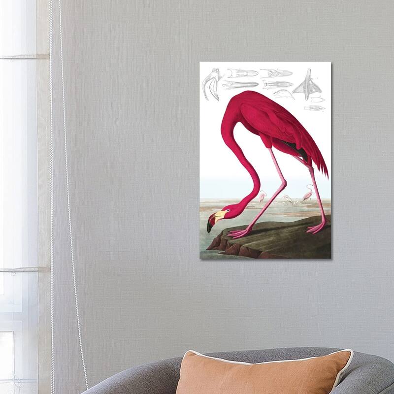 iCanvas "American Flamingo (Illustration From The Birds Of America)" by John James Audubon Canvas Print - 26x18x1.5