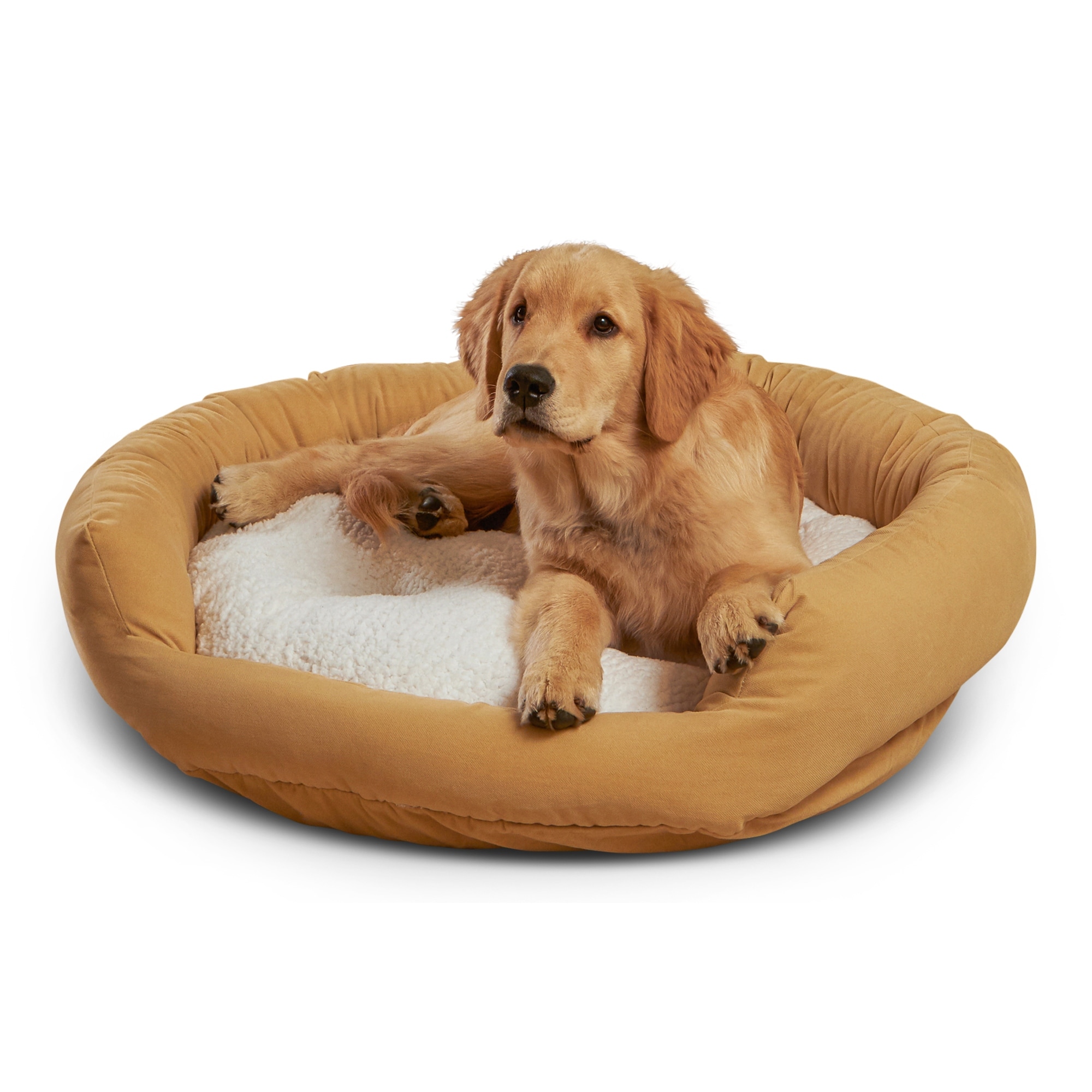 https://ak1.ostkcdn.com/images/products/is/images/direct/11e3bb7c5be60f1ddd7885cb617e7d3beb4049ab/Happy-Hounds-Moxy-Beige-Donut-Dog-Bed.jpg