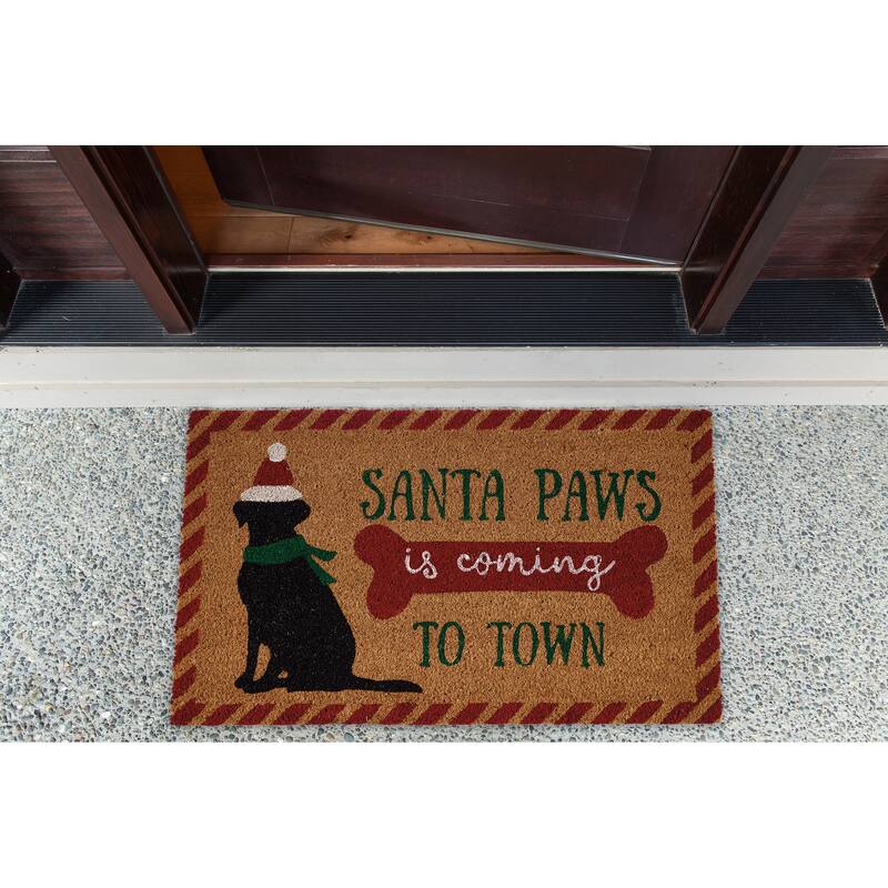 DII Seasonal Coir Doormat