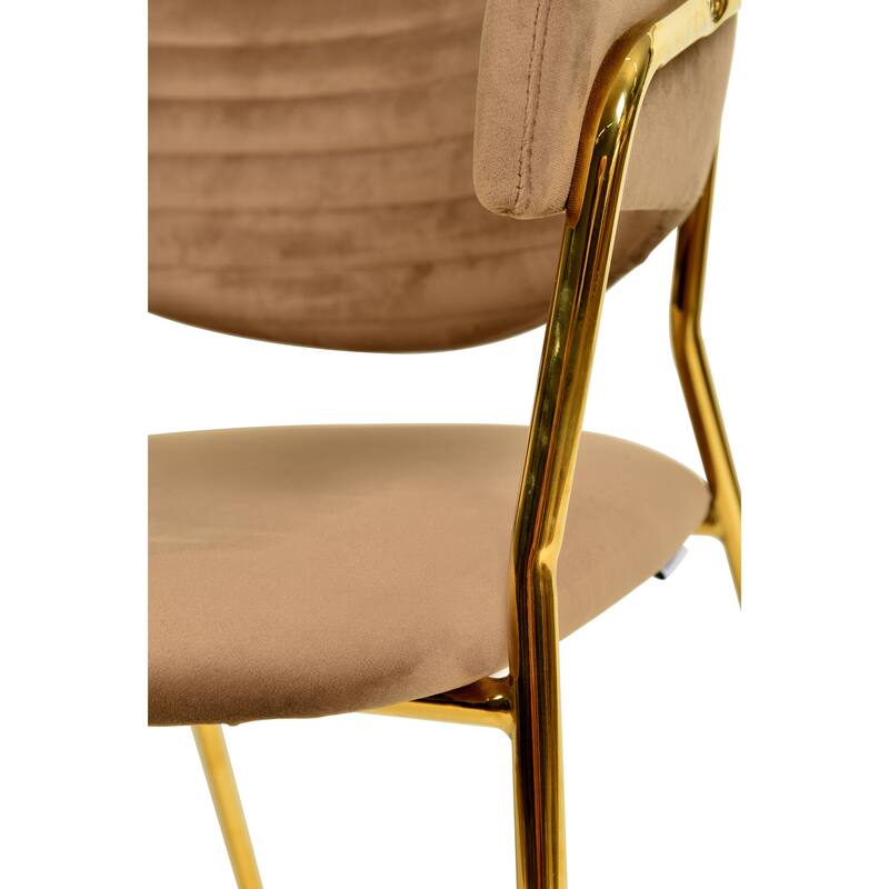LeisureMod Set of 2 Bella Modern Dining Chair Upholstered in Leather or Velvet & Gold Base for Home Office Kitchen