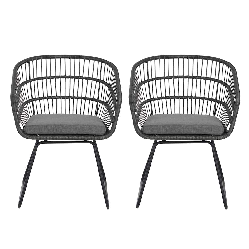 Lemere Outdoor Wicker Dining Chair with Cushion (Set of 2) by Christopher Knight Home