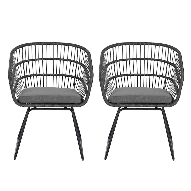 TERRY CHAIR 2PCS Set with Cushions Gray PE Rattan and Iron Outdoor Garden Furniture