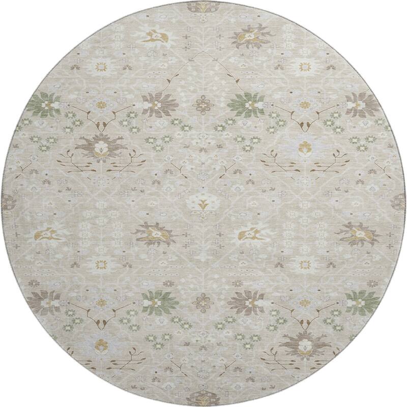 Premium Washable Super Soft Traditional Oushak Mayfield Rug