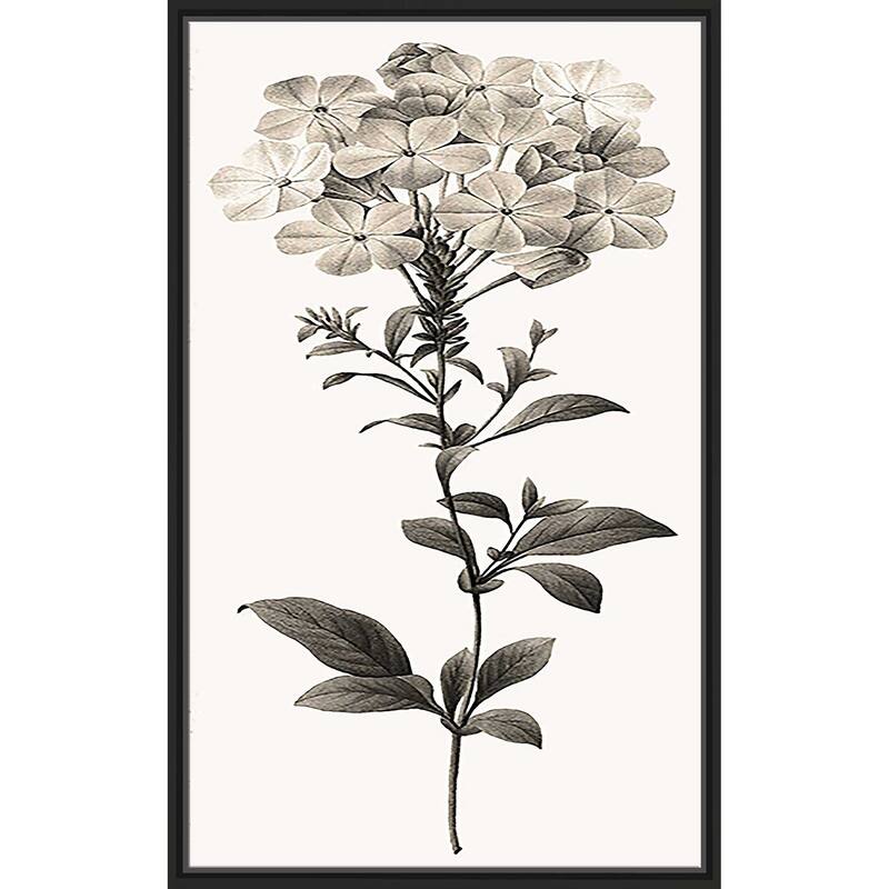 "Slender Leadwort" Print on Floating Canvas