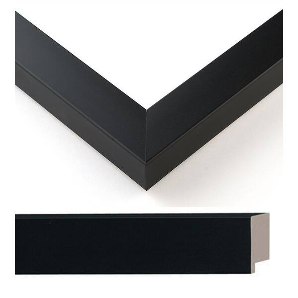 Shop 8x9 Black Wood Picture Frame With Acrylic Front And Foam