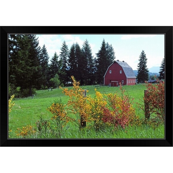 "Red barn in meadow, Castle Rock, Washington" Black Framed Print