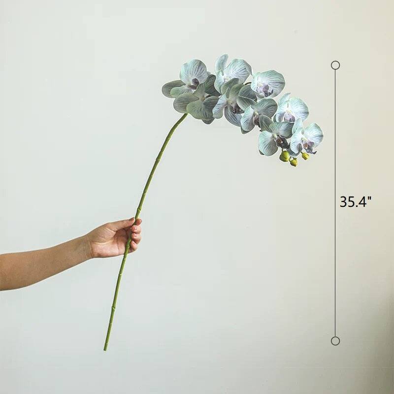 RusticReach Real Touch Orchid Stem in Various Colors 35" Tall - Green - [C]-Five Stems