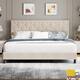 Option Beige