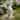 17" Peaceful Angel on Pedestal Candle Holder Outdoor Statue