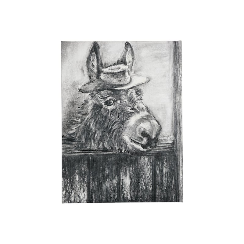 Donkey II (18 x 24) Canvas Art Print - Small
