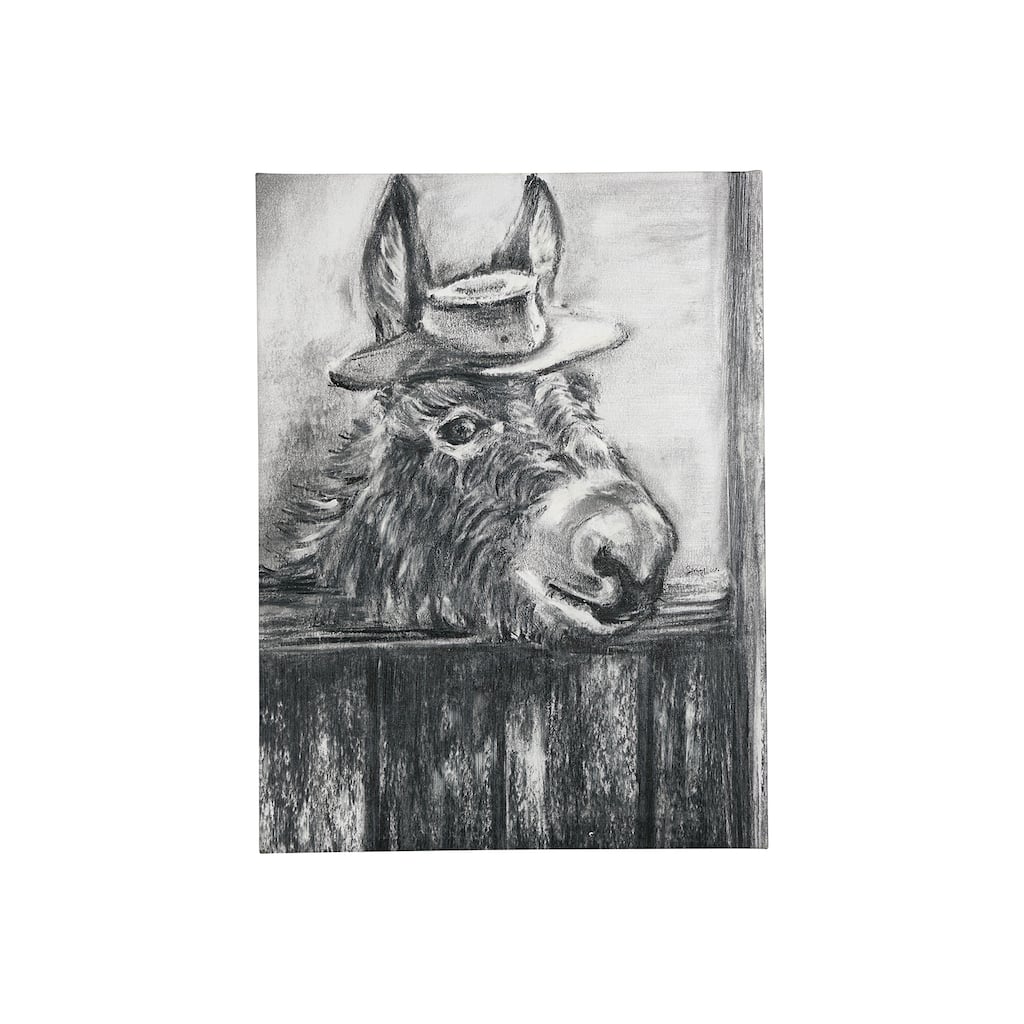 Donkey II (18 x 24) Canvas Art Print