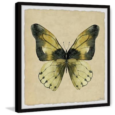 The Tropical Butterfly Framed Print