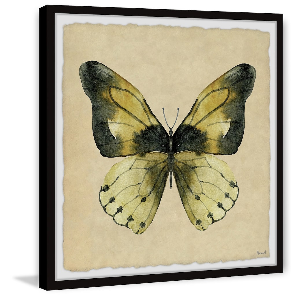 The Tropical Butterfly Framed Print