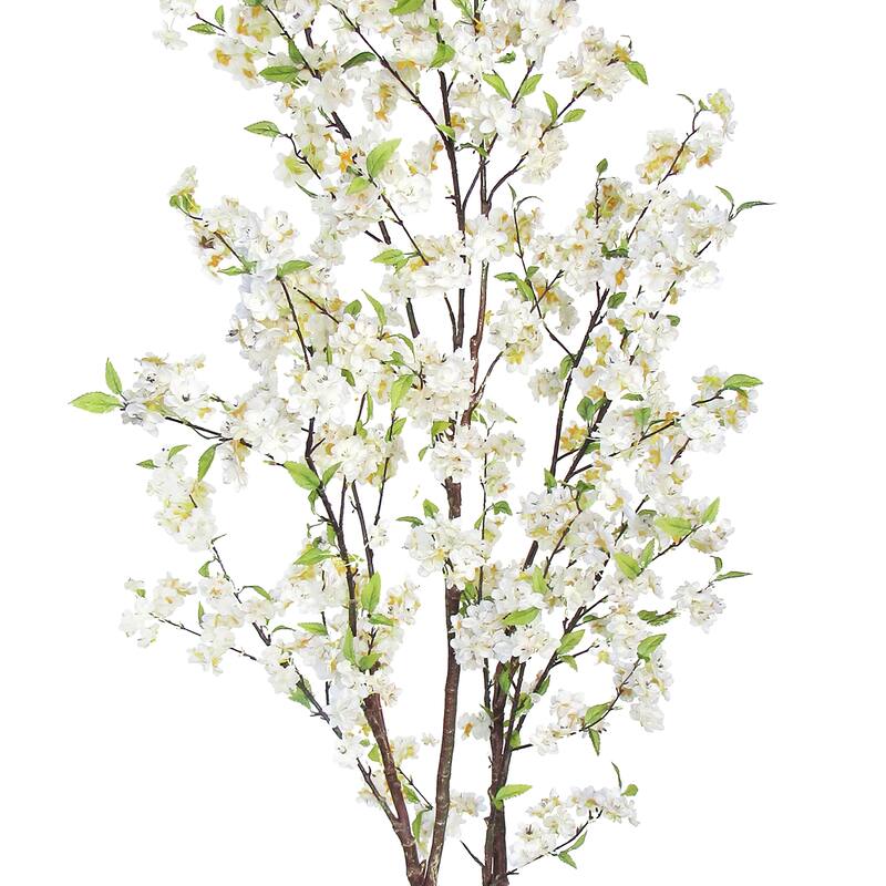 5.5ft Cream White Artificial Cherry Blossom Flower Tree Plant in Black Pot - 66" H x 34" W x 32" DP