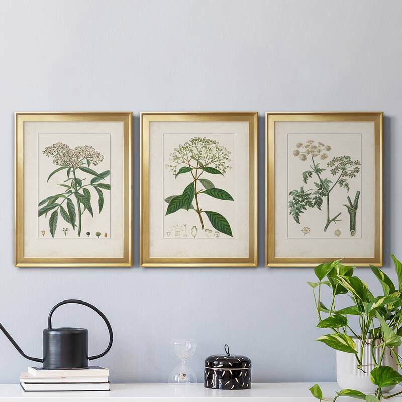 Antique Turpin Botanical VII Premium Framed Canvas - Ready to Hang - Multi-Color