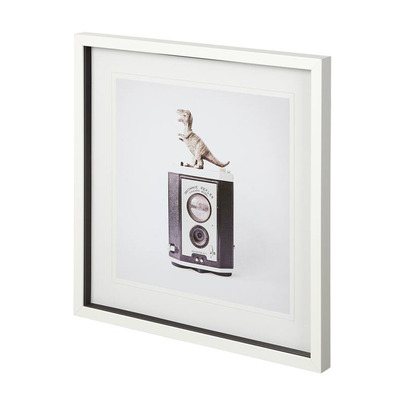 T-rex & Vintage Camera Framed Art Print