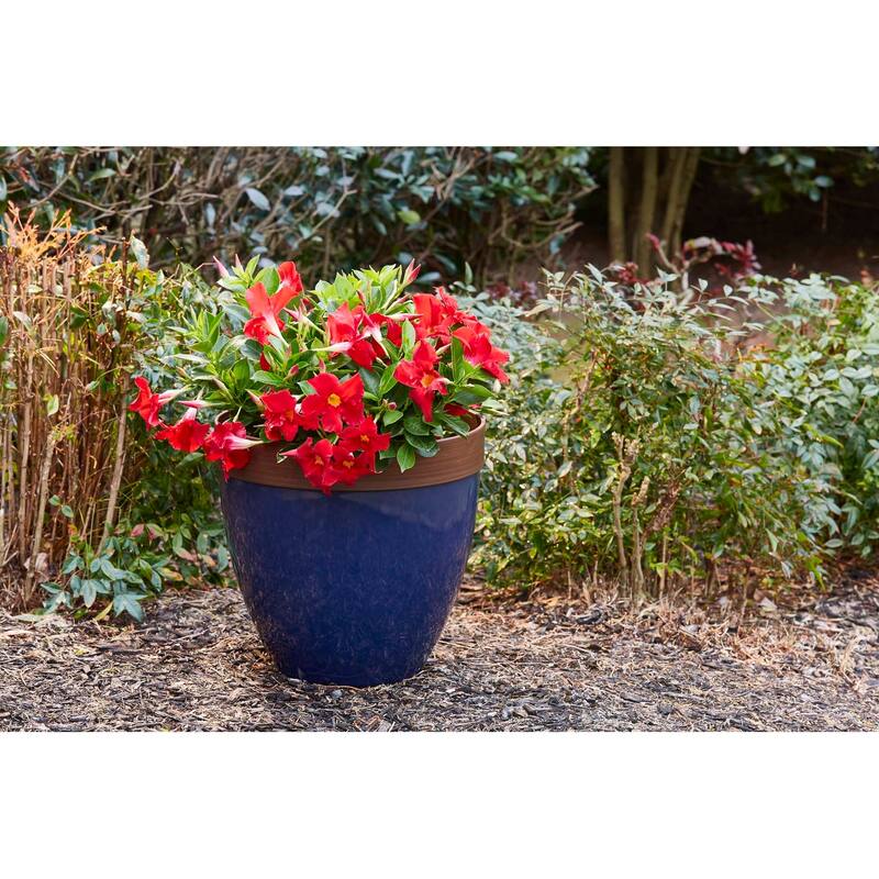 Southern Patio Hornsby Resin Planter