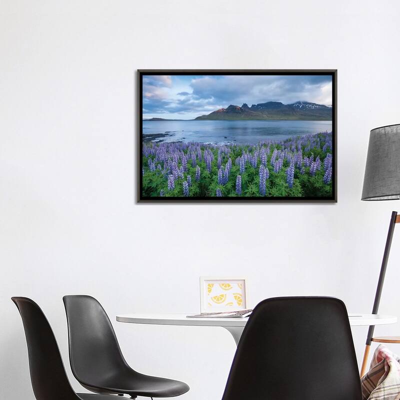 iCanvas "Nootka Lupines I, Stodvarfjordur Fjord, Austurland, Iceland" by Gareth McCormack Framed