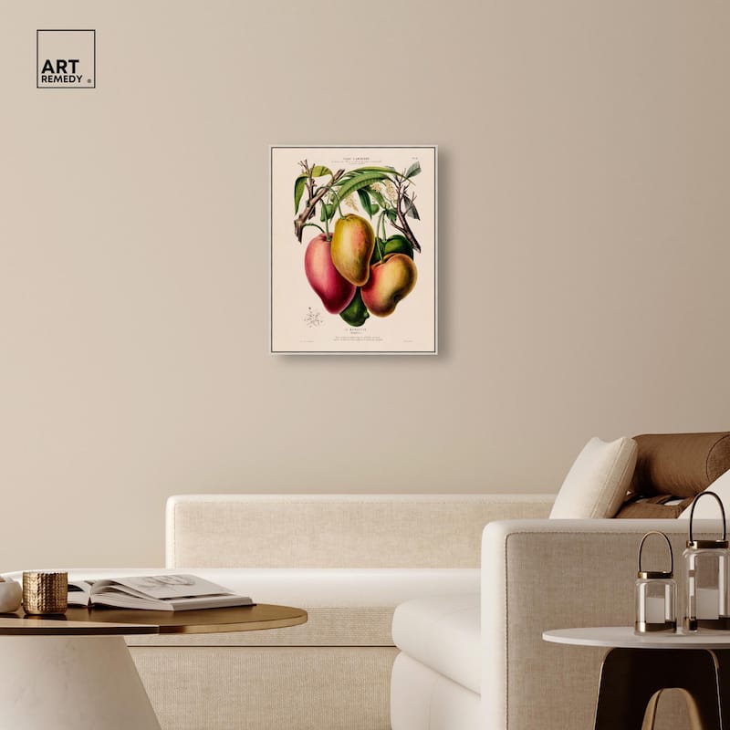 Mangoes by Etienne Denisse Canvas by Art Remedy