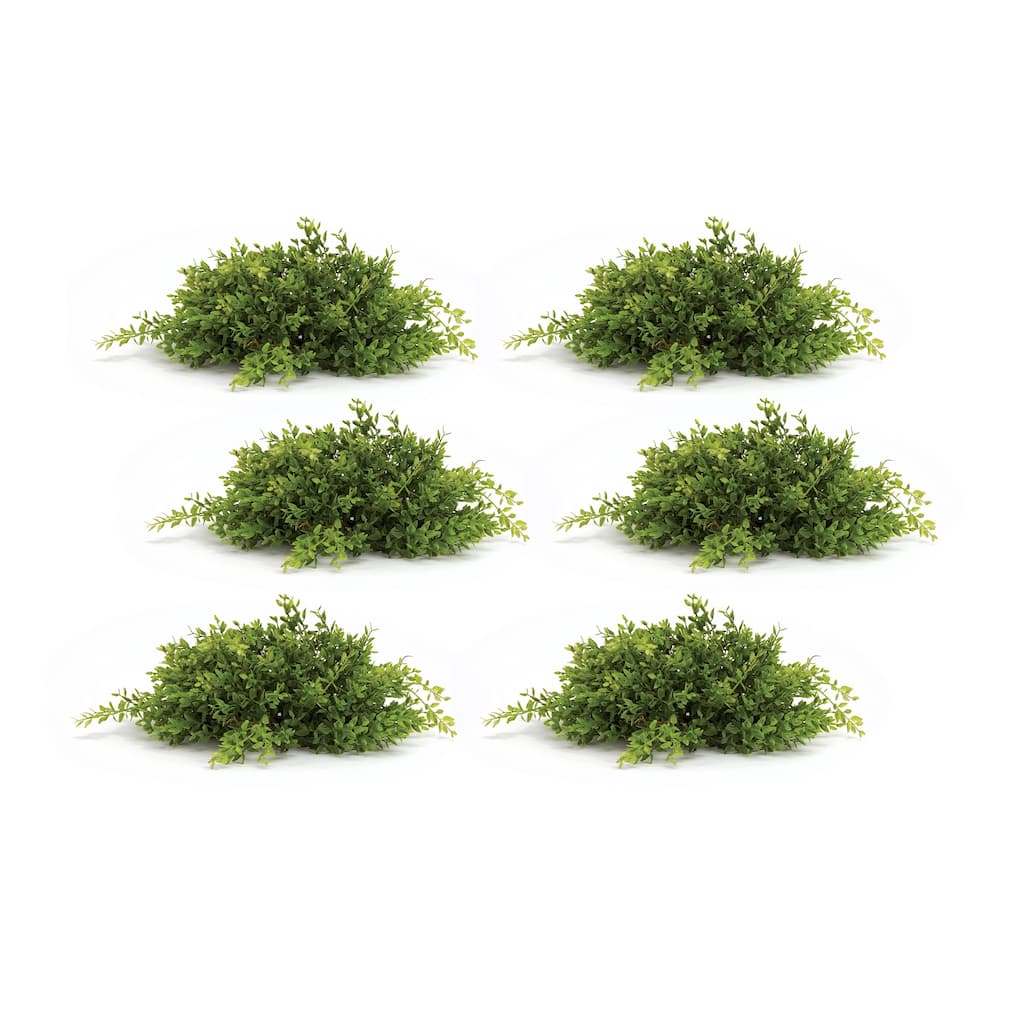 Mini Leaf Half Orb (Set of 6)