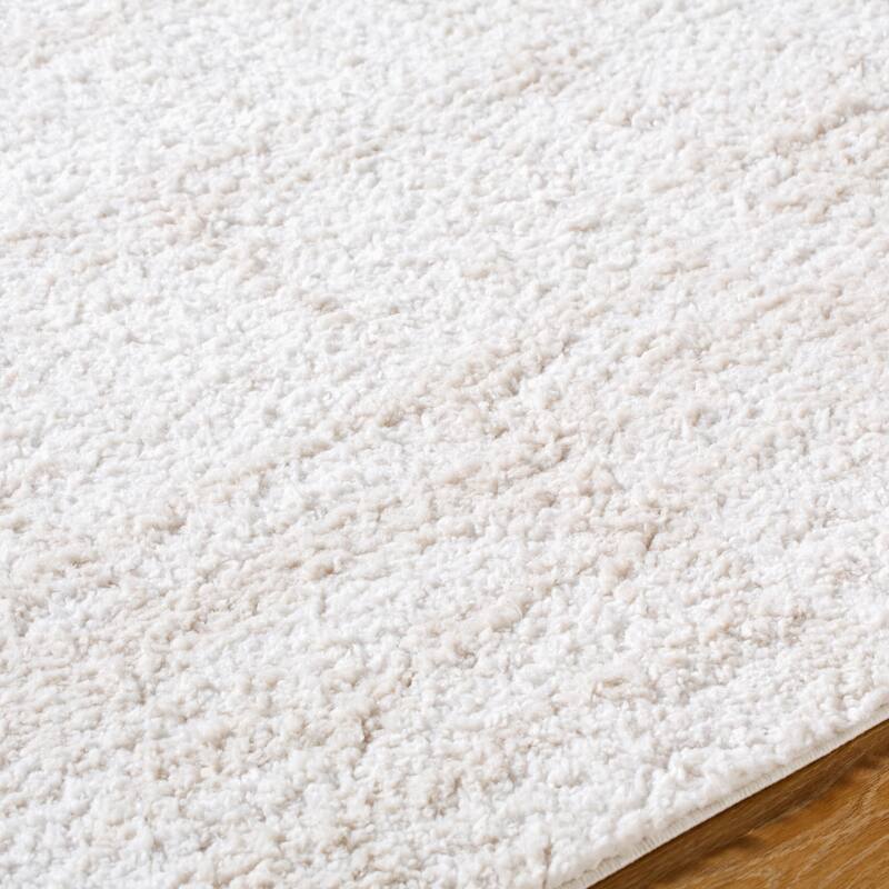 Livabliss Modern & Contemporary Sacramento Shag Ombre Area Rug