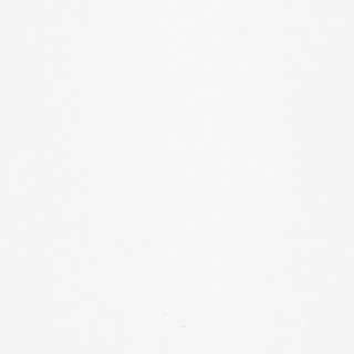 Galerie Wallcoverings Flora Matte Plain Texture Vinyl on Non-woven Matte Wallpaper Roll