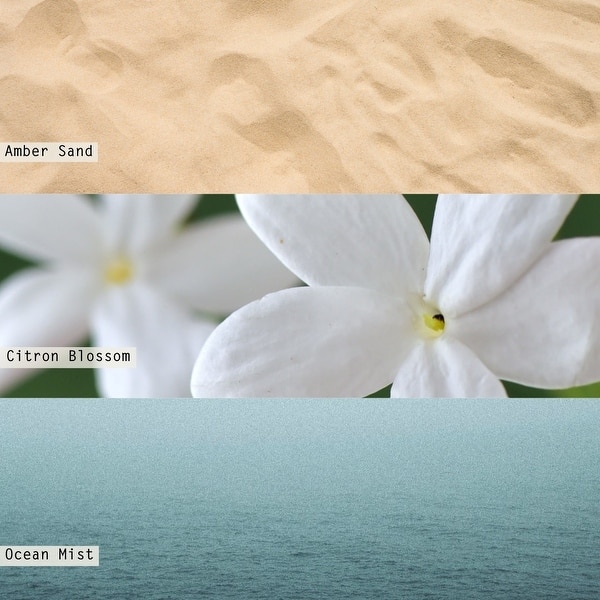 dimension image slide 2 of 3, ILLUME Beautifully Done Driftwood Demi Vanity Tin Candle