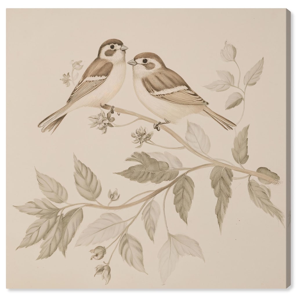 Pair of Finches III Canvas by Art Remedy, Gallery Wrapped