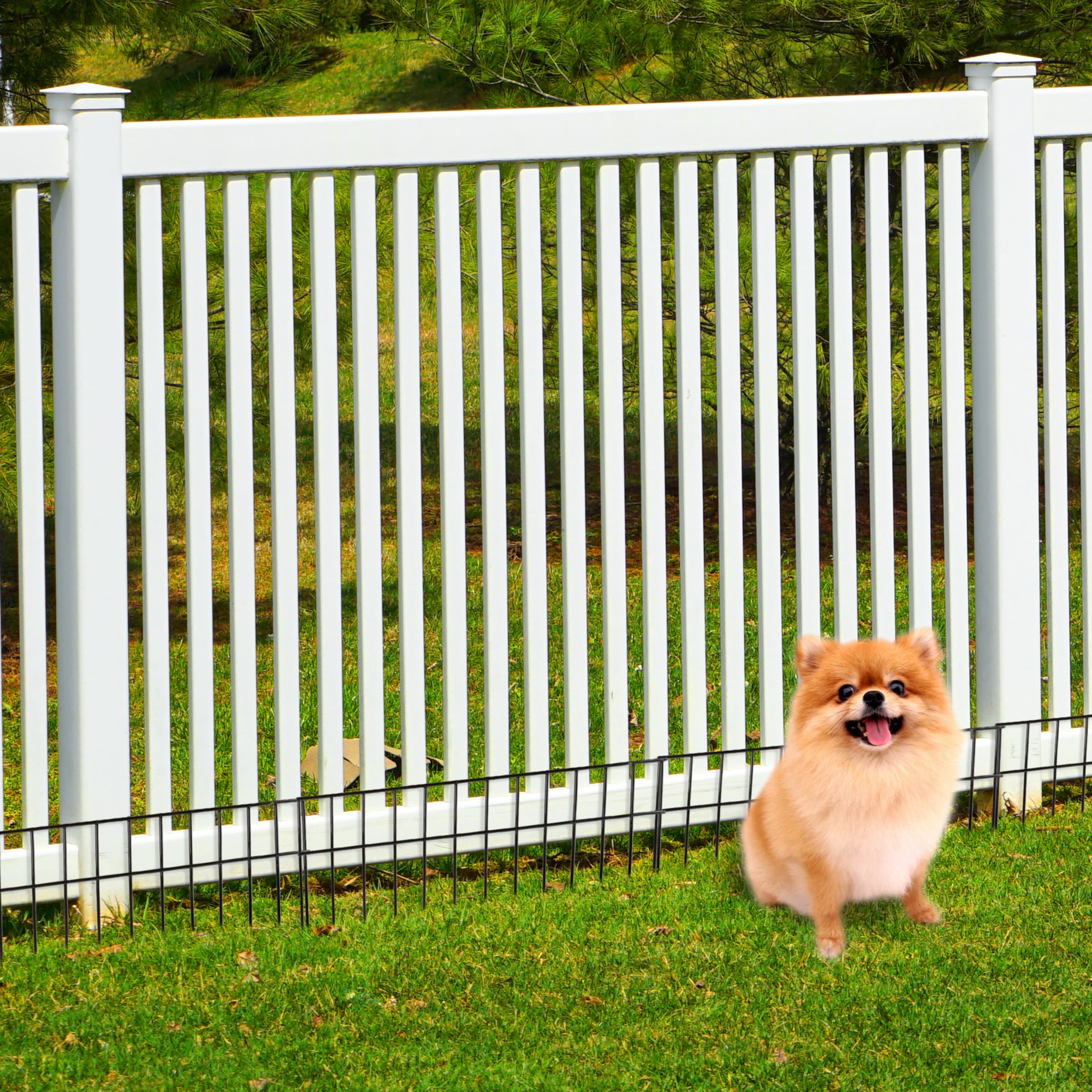 Dog digging fence barrier top