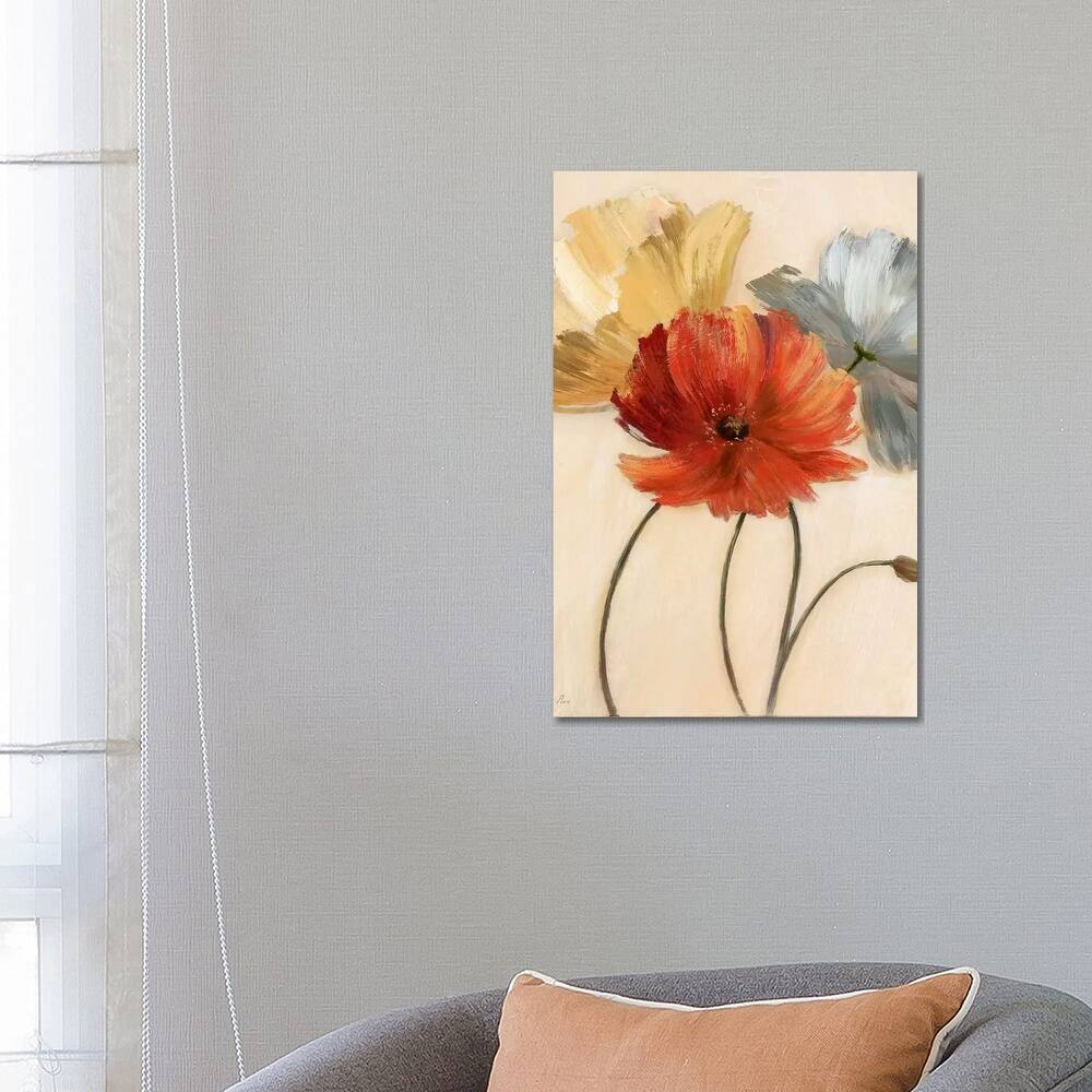 iCanvas "Poppy Palette I" by Nan Canvas Print