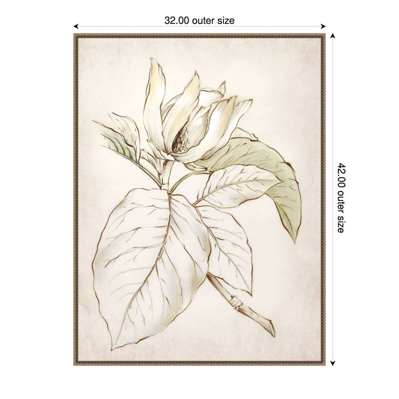 Botanical No. 2 by Alex Black Framed Canvas Wall Art Print - 32 x 42 in