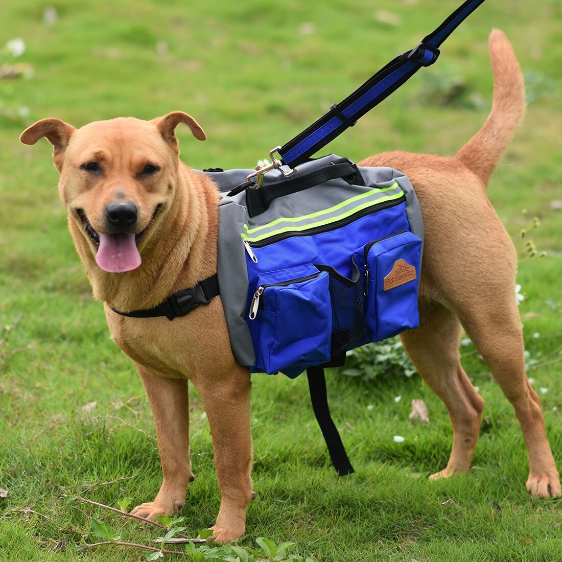 dog hiking backpack carrier