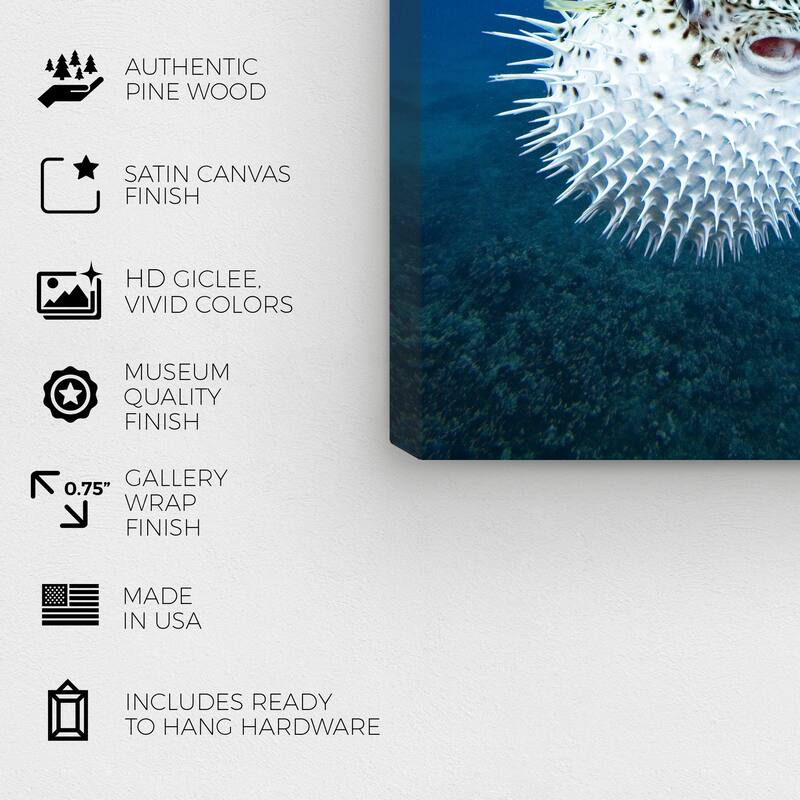 Wynwood Studio Canvas Animals David Fleetham - Spotted PorcupineFish Blue and Nautical & Coastal Wall Art Canvas Print