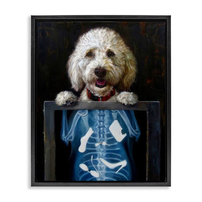 Stupell Funny Dog X-Ray Snacks Framed Floater Canvas Wall Art by Lucia Heffernan