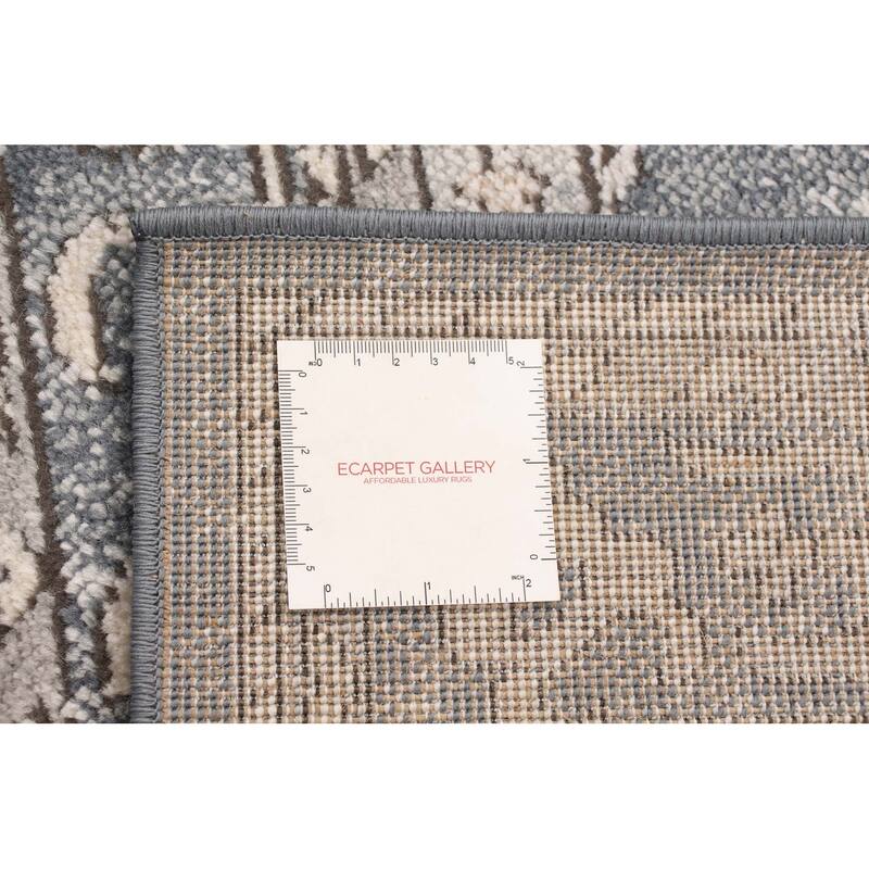 ECARPETGALLERY Oregon Bijar Traditional Rug