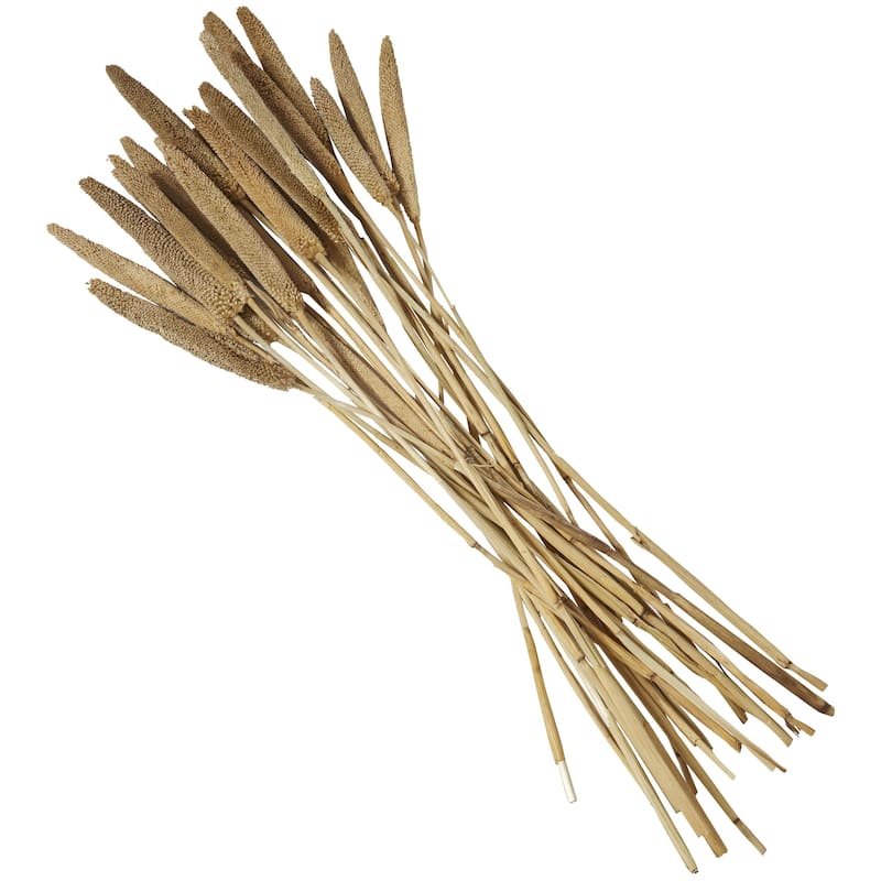 Dried Plant Bunny Tail Home Decor Natural Foliage - White, Red, Dark Brown, Orange, Green, Pink, Yellow - Roche River Decor