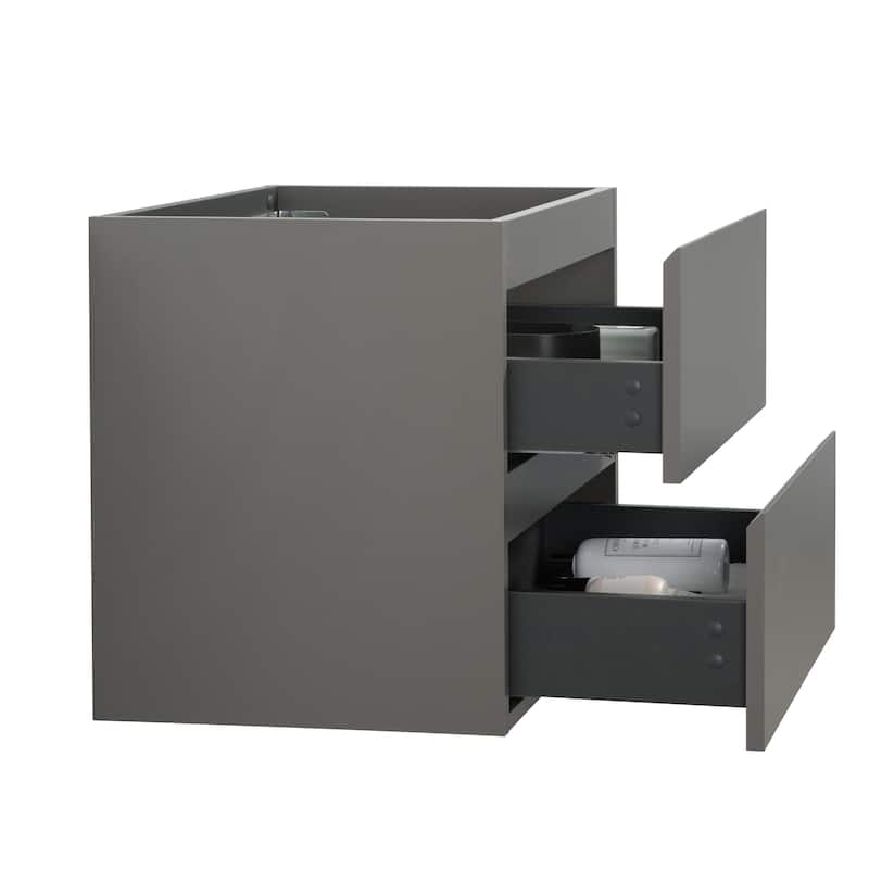 (Base Only) Wall Mount Bathroom Vanity Base with 2 Drawers