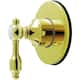Option Polished Brass