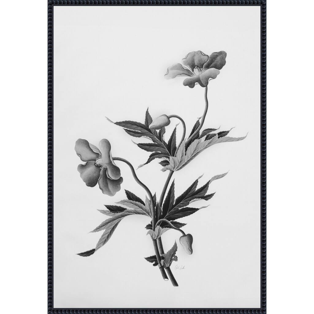 Botanical No. 2 by Deborah Revell Framed Canvas Wall Art Print